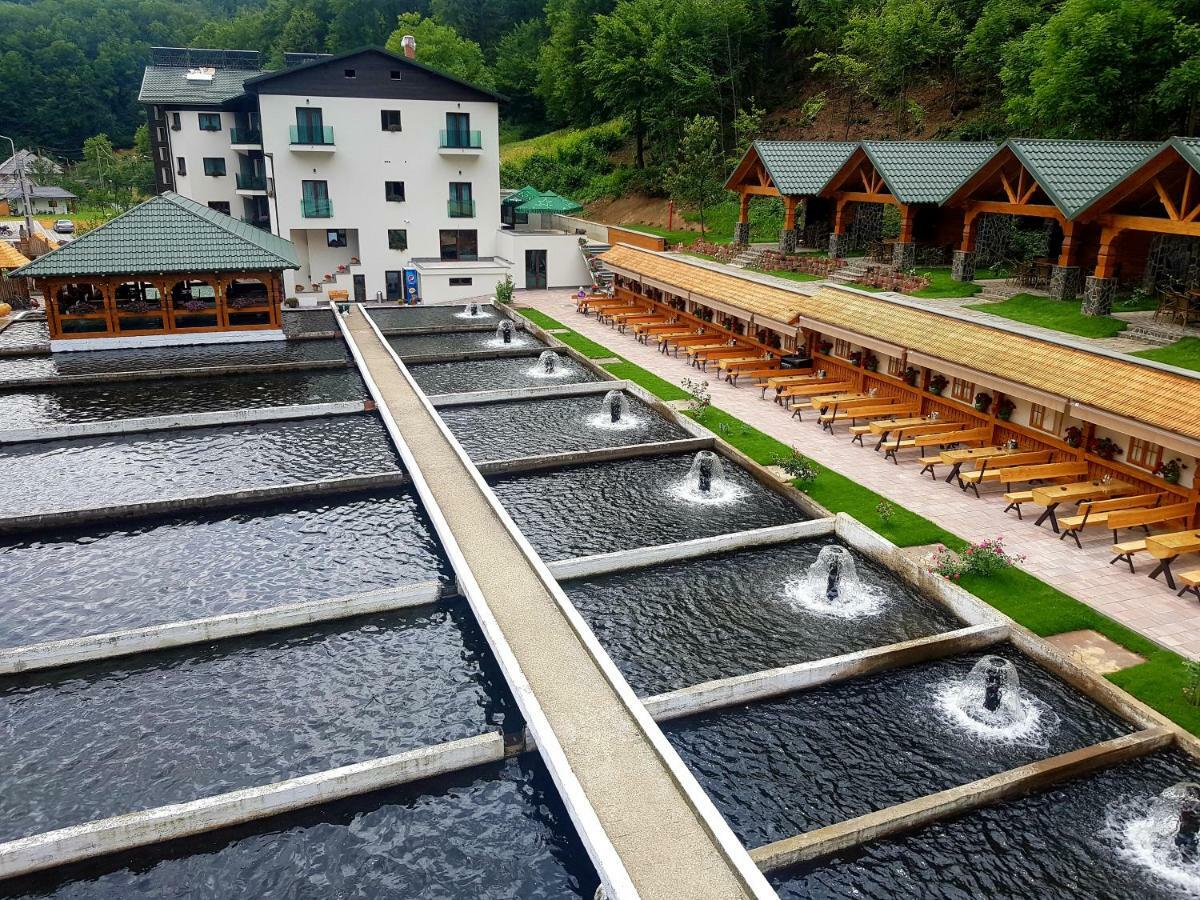 Lostrita - Pastravarie, Hotel & Spa 巴亚马雷 外观 照片